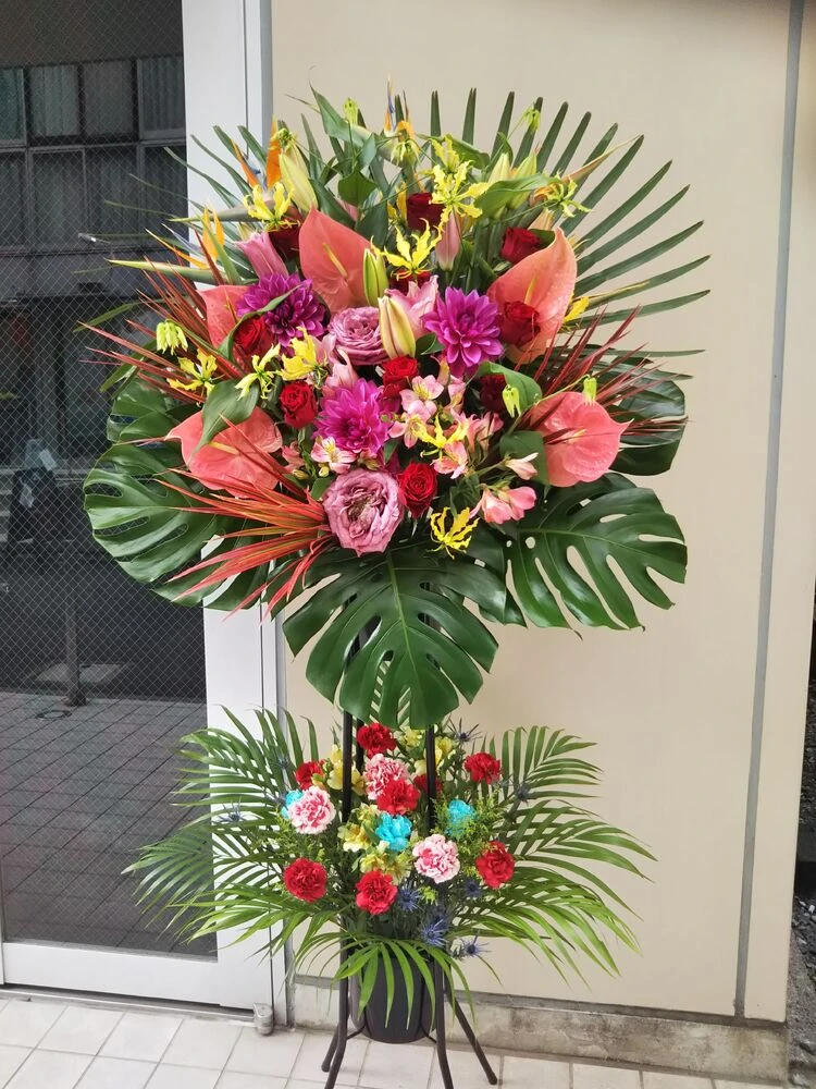 画像11674