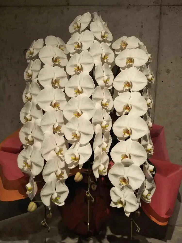 画像11676