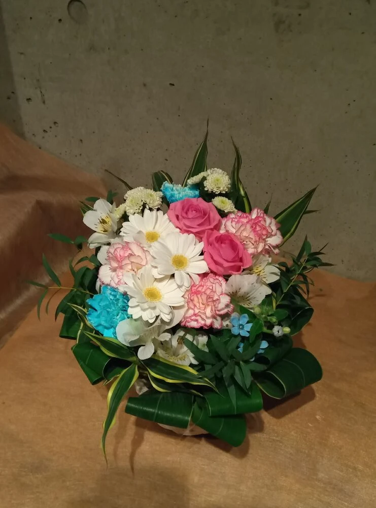 画像11714