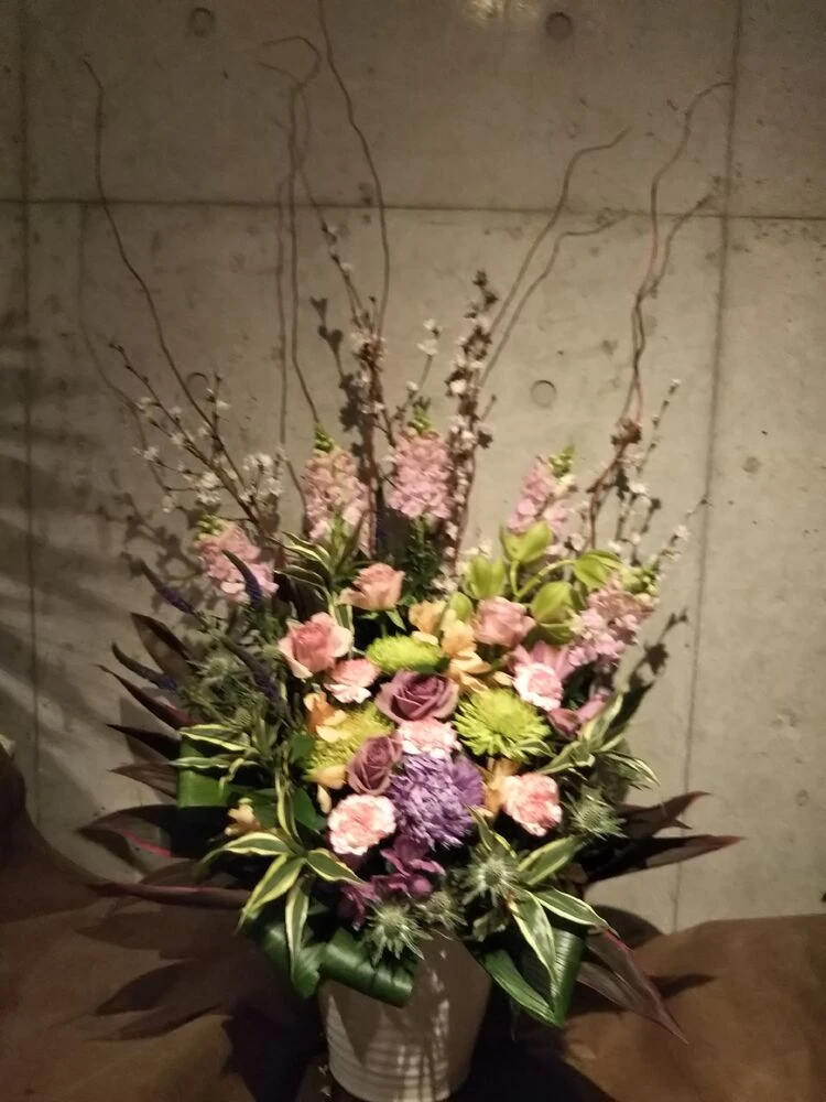 画像11772