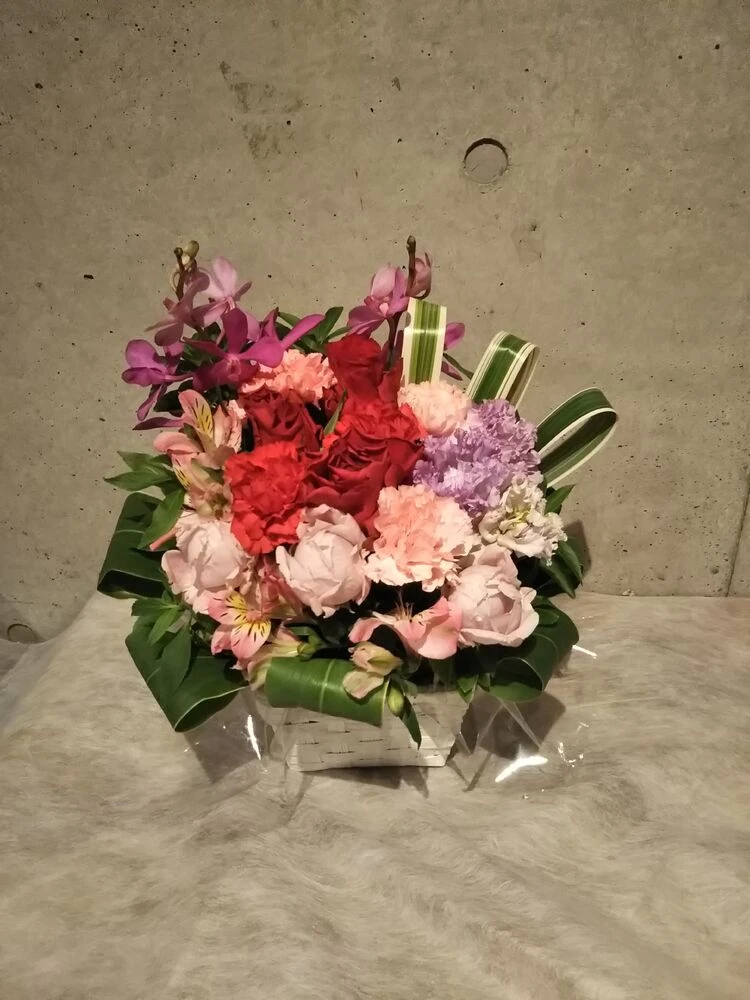 画像11785