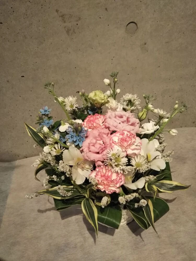 画像11786