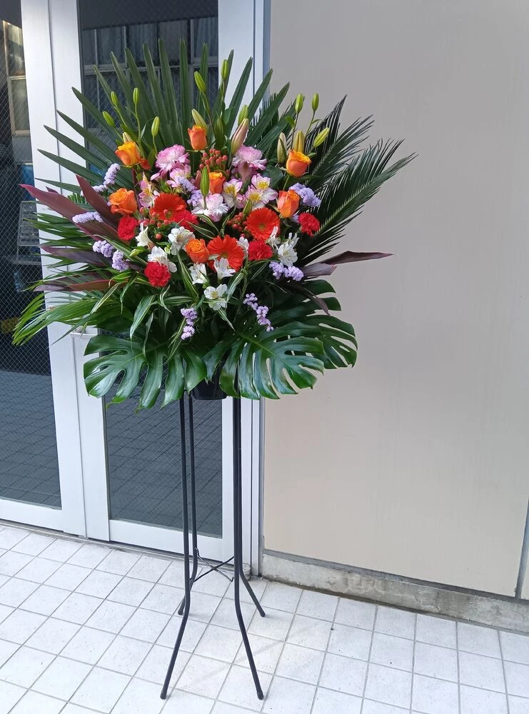 画像11909