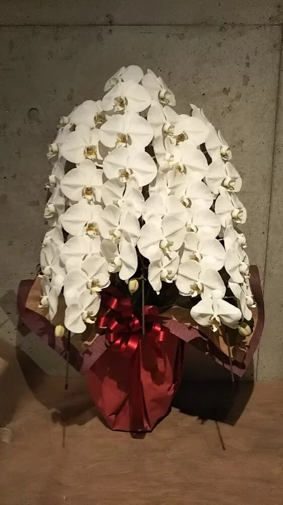 画像11950