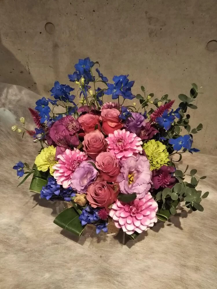 画像12028