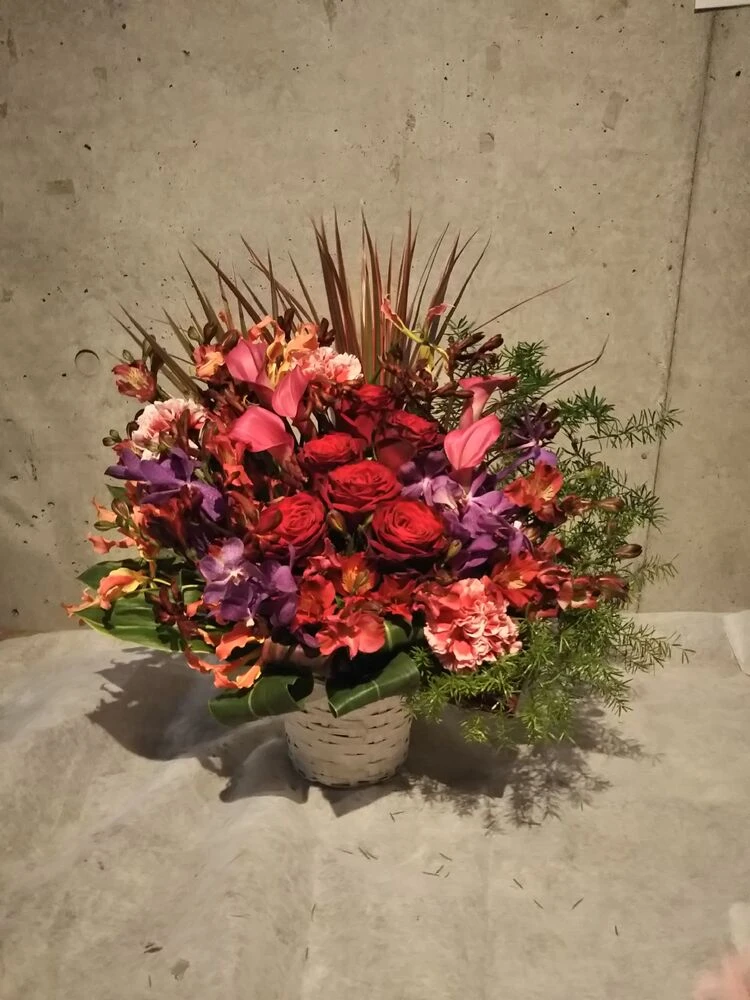 画像12039