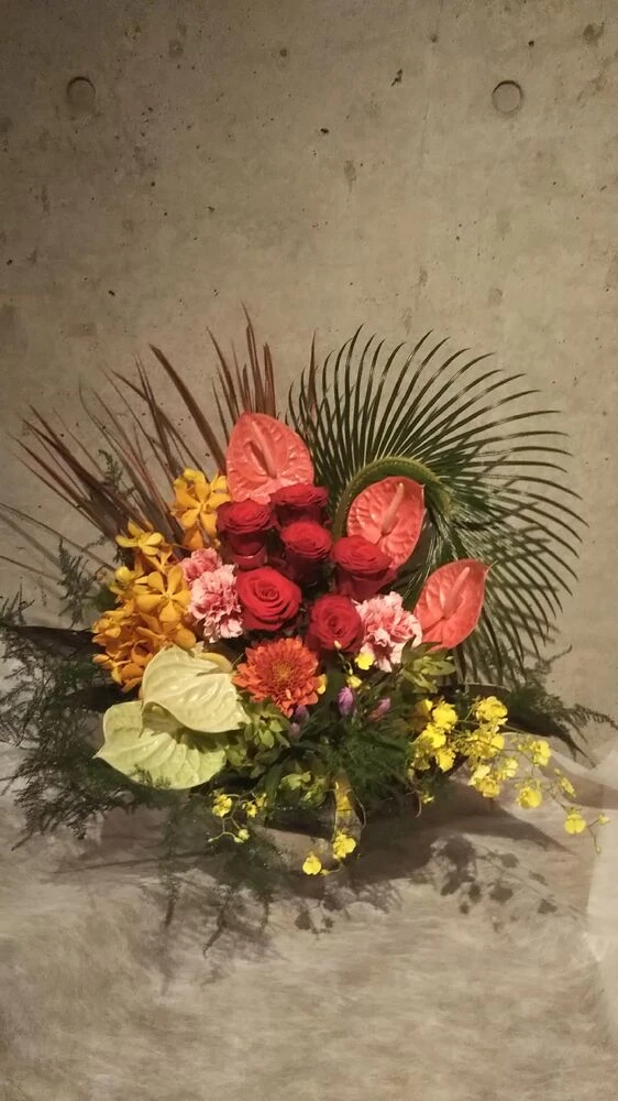 画像12066