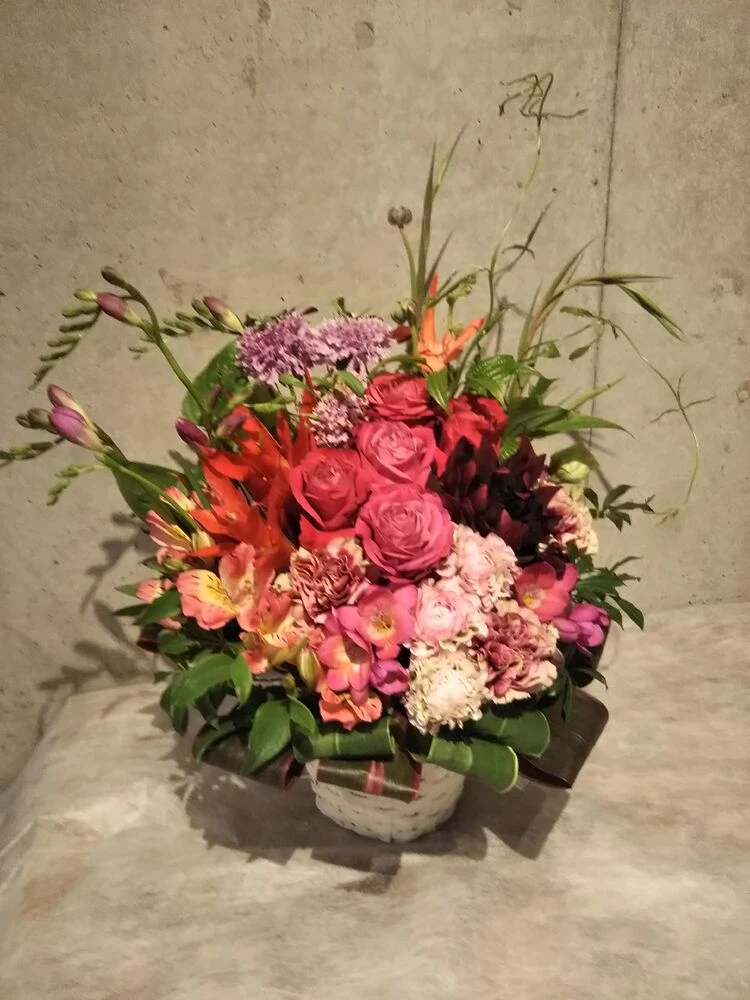 画像12068