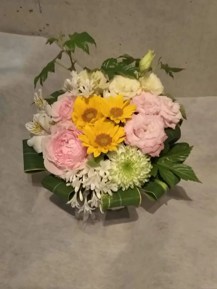 画像12078