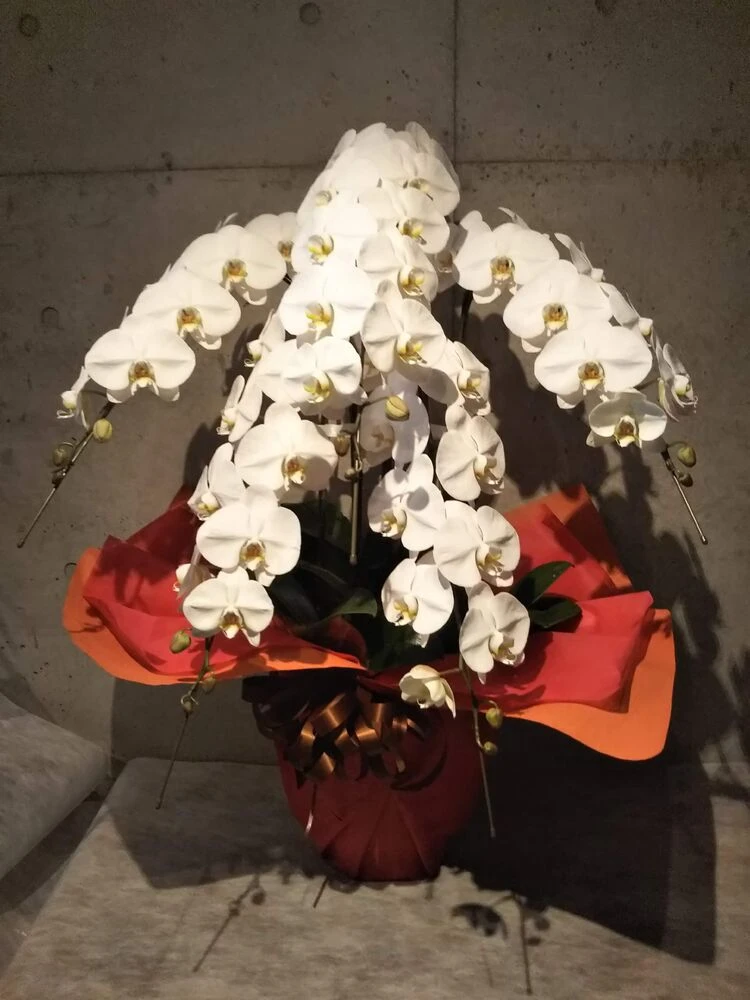 画像12323