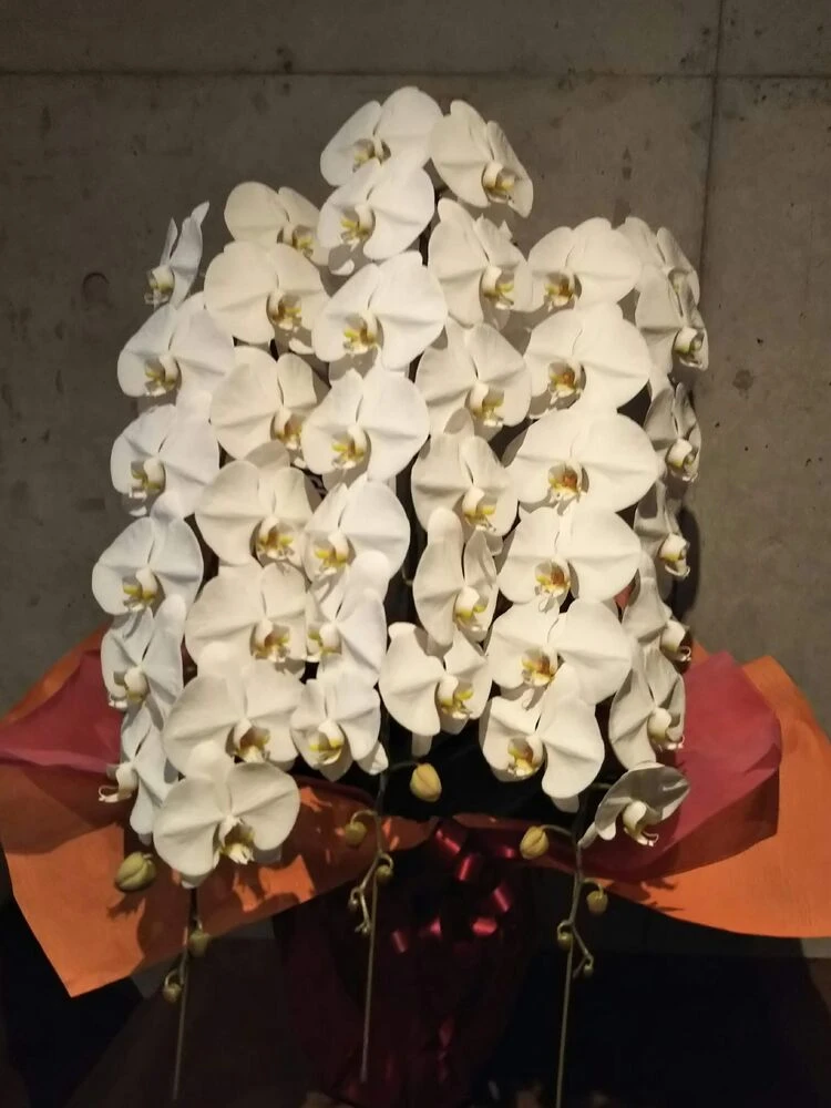 画像12327