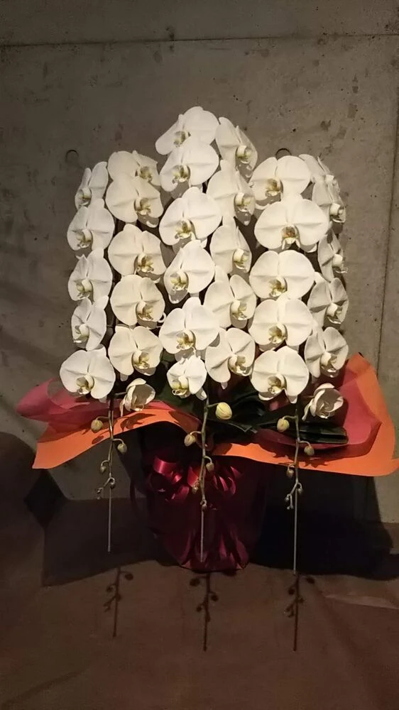 画像12328