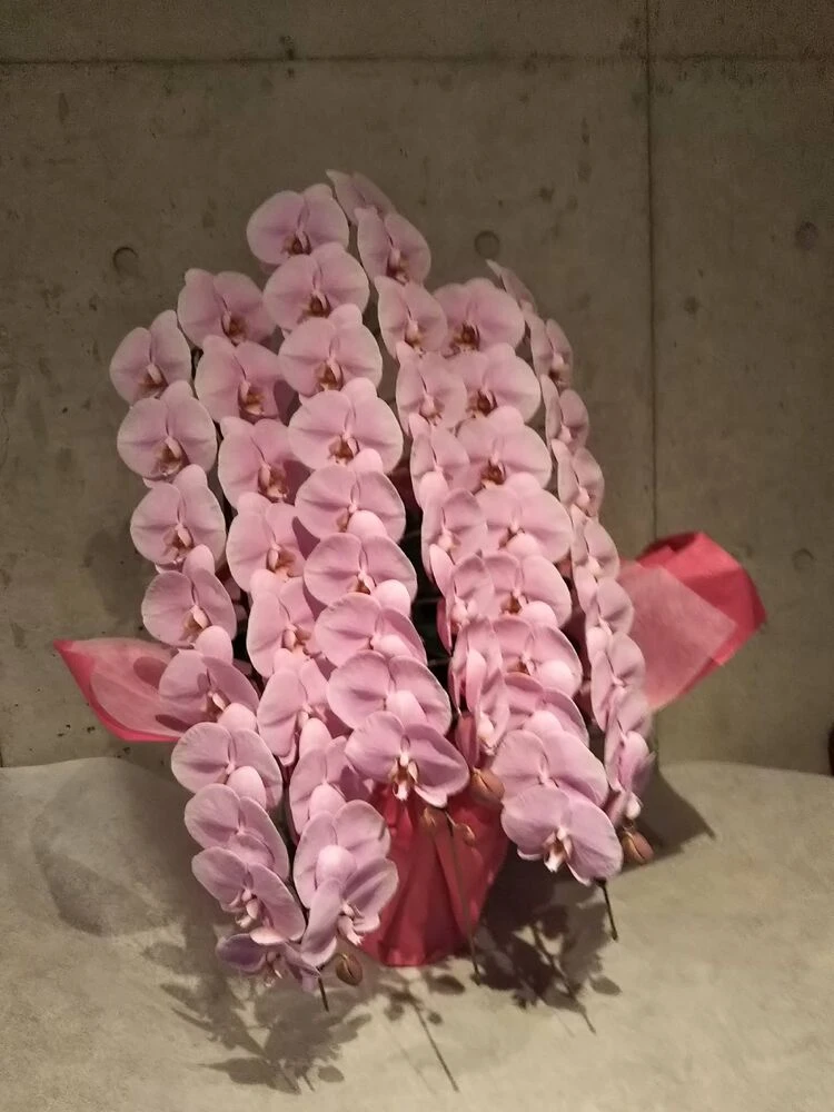画像12329