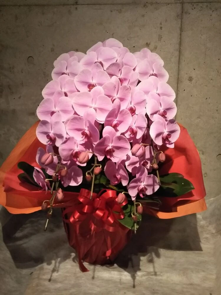 画像12330