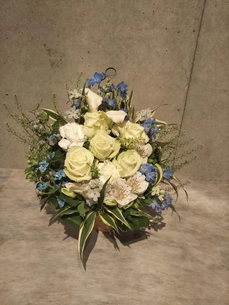 画像12420