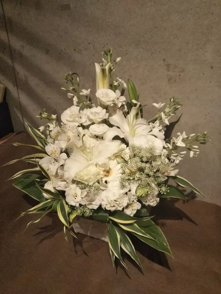 画像12421