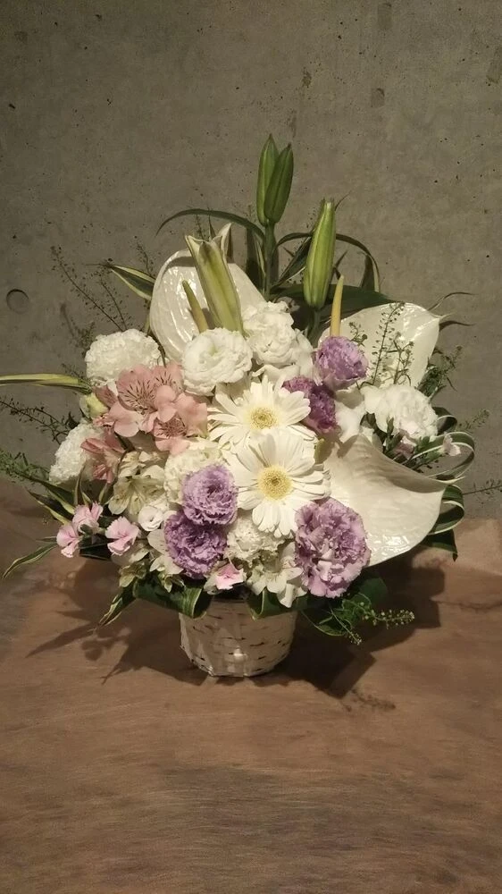 画像12422