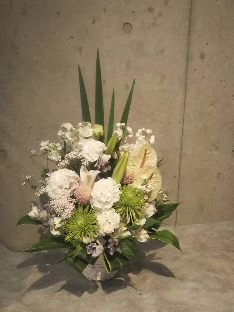 画像12424