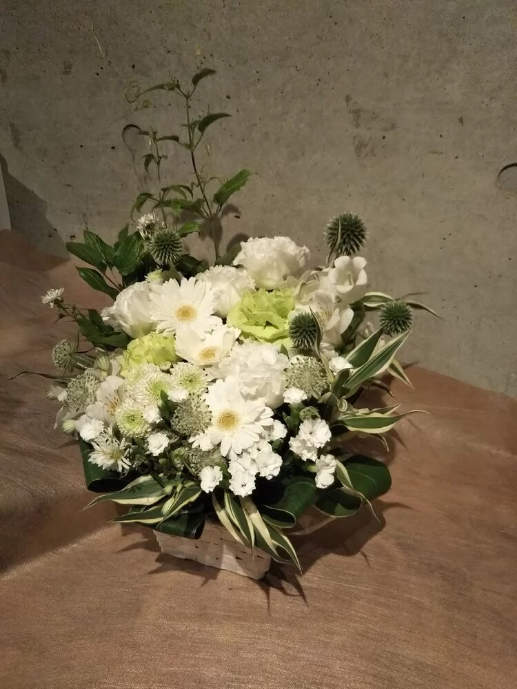 画像12426