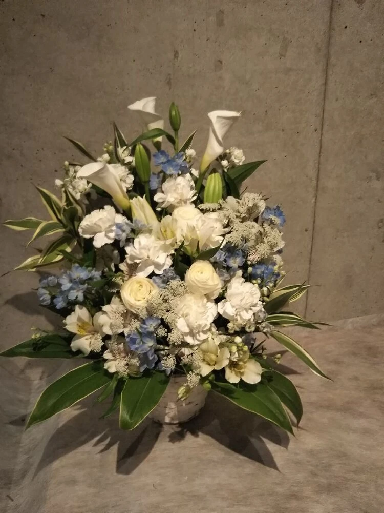 画像12429