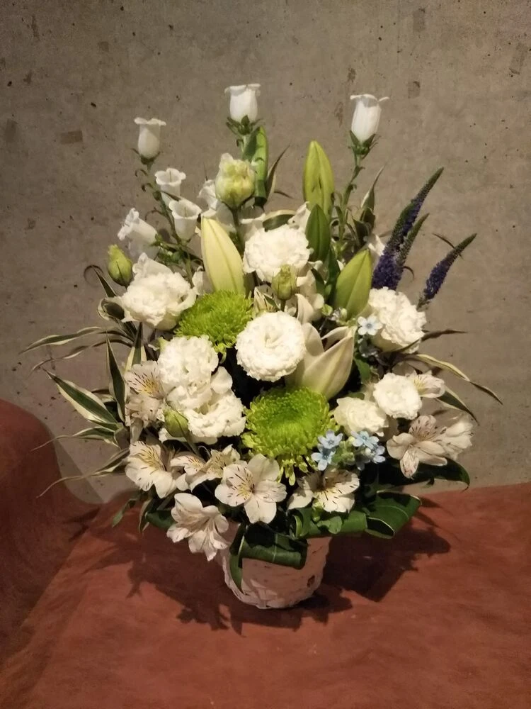 画像12432