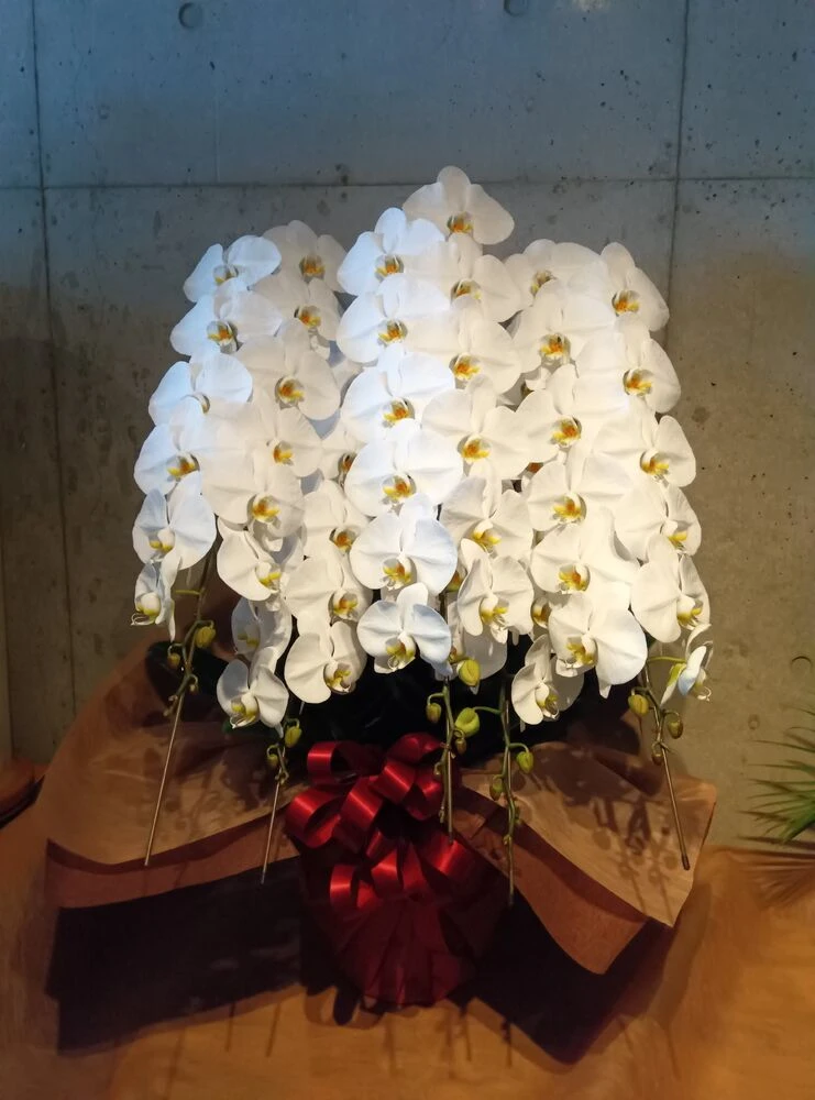 画像12471