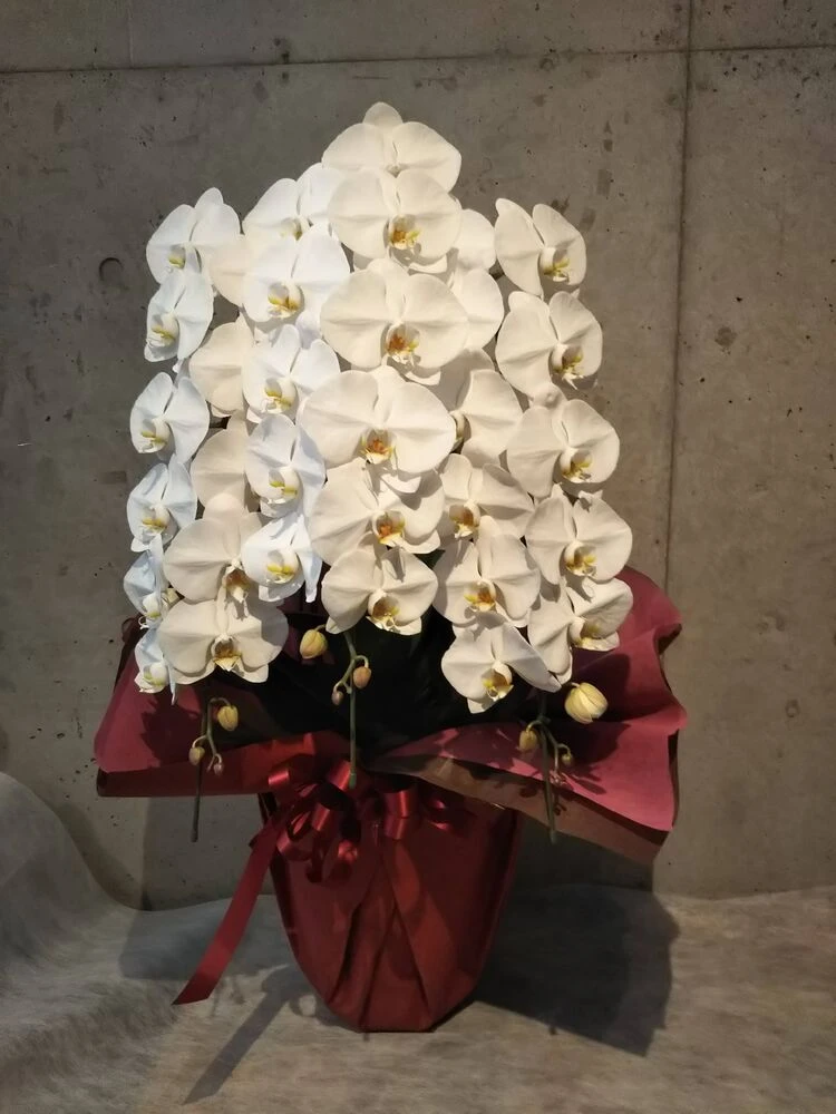 画像12472