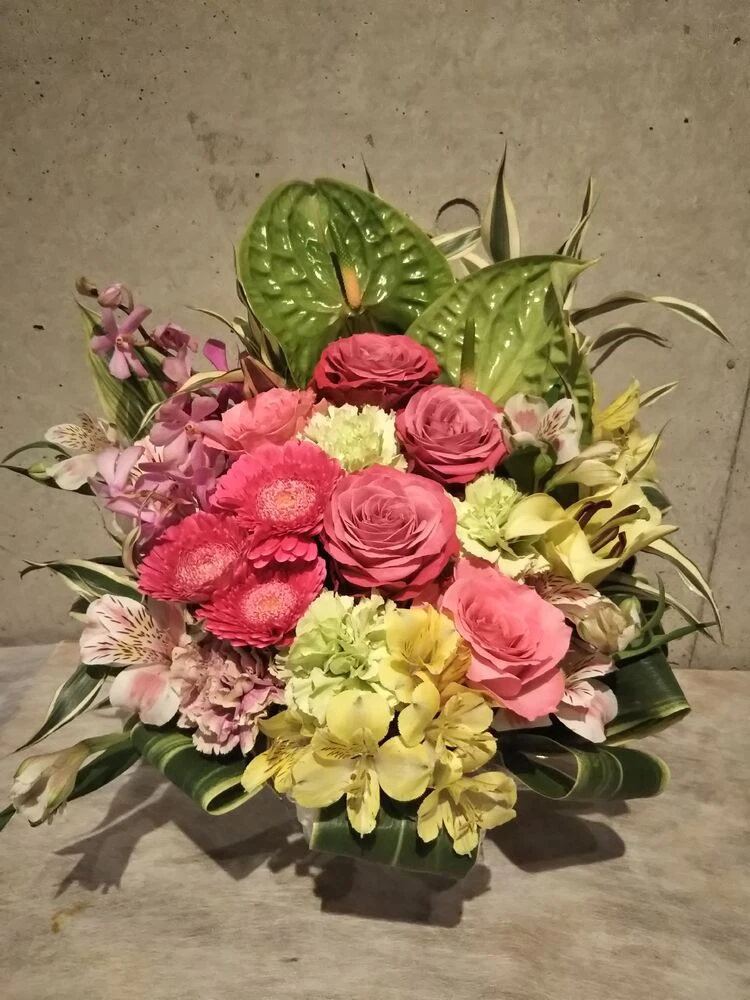 画像12475