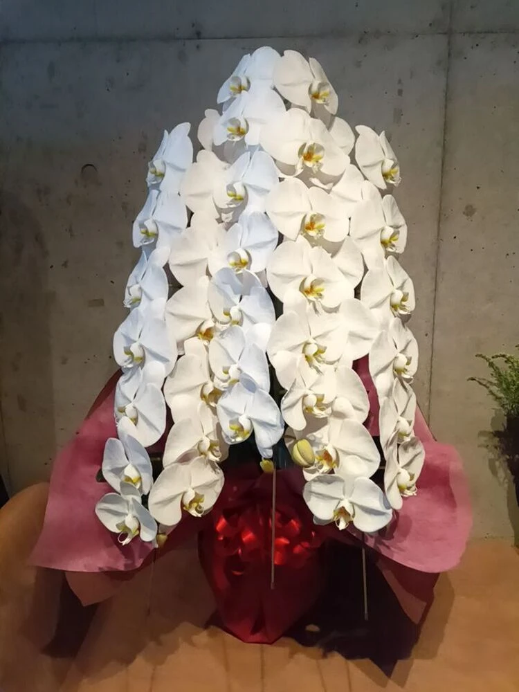 画像12501