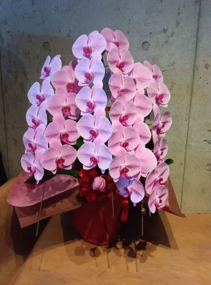 画像12504