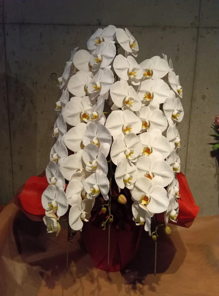 画像12506