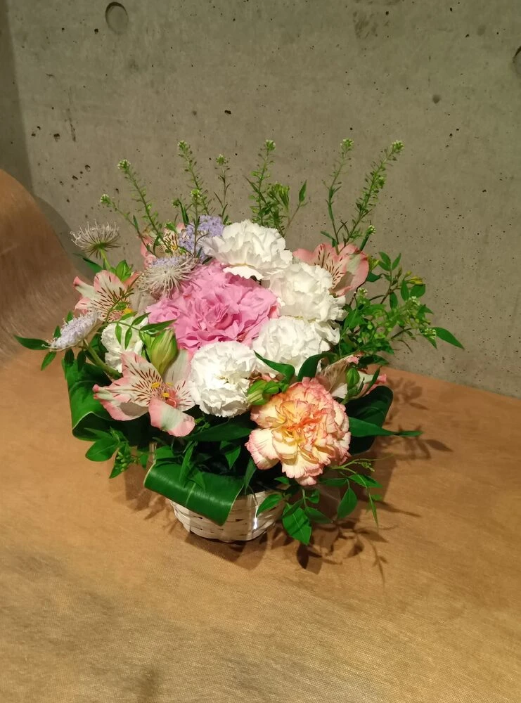 画像12546