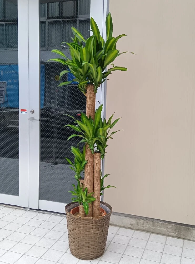 画像12614