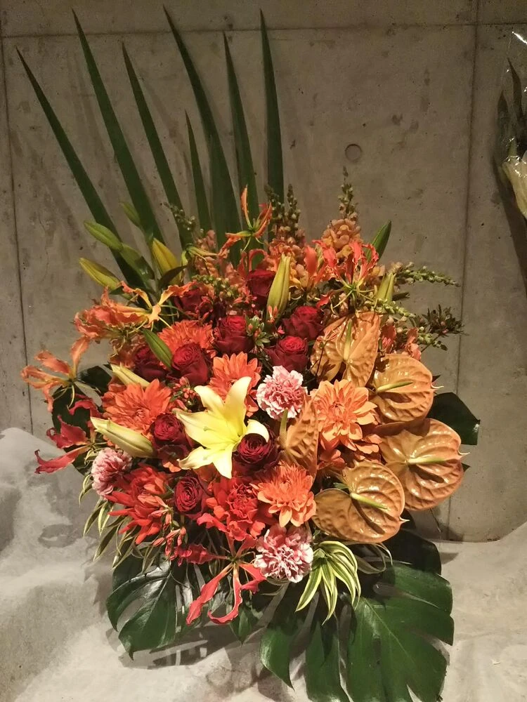 画像12715