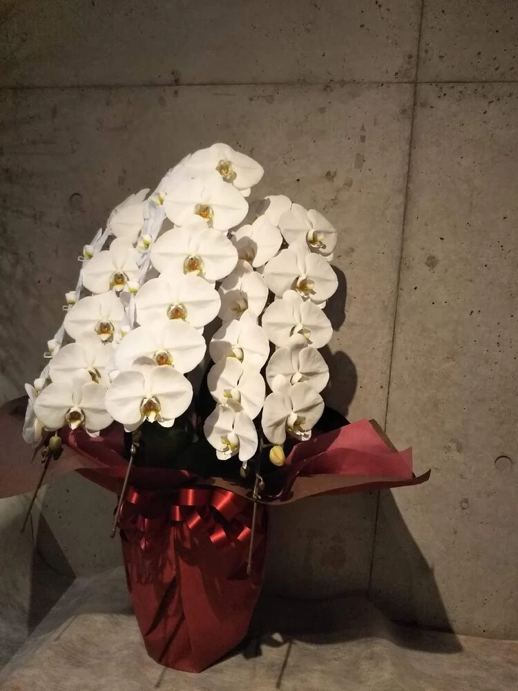 画像12872
