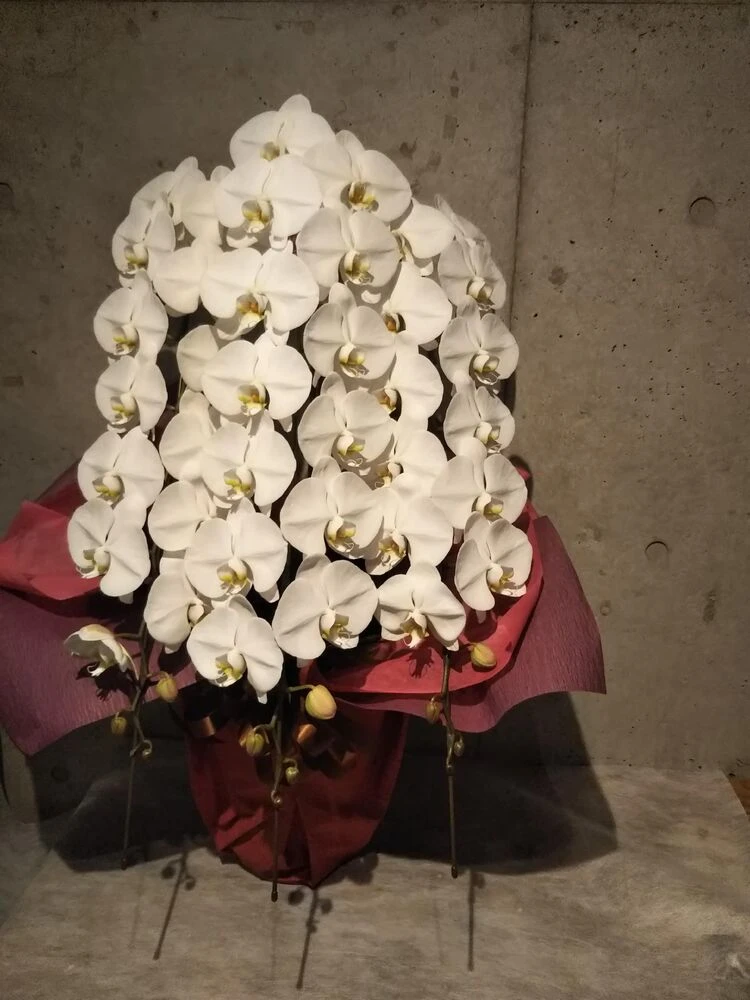 画像12876