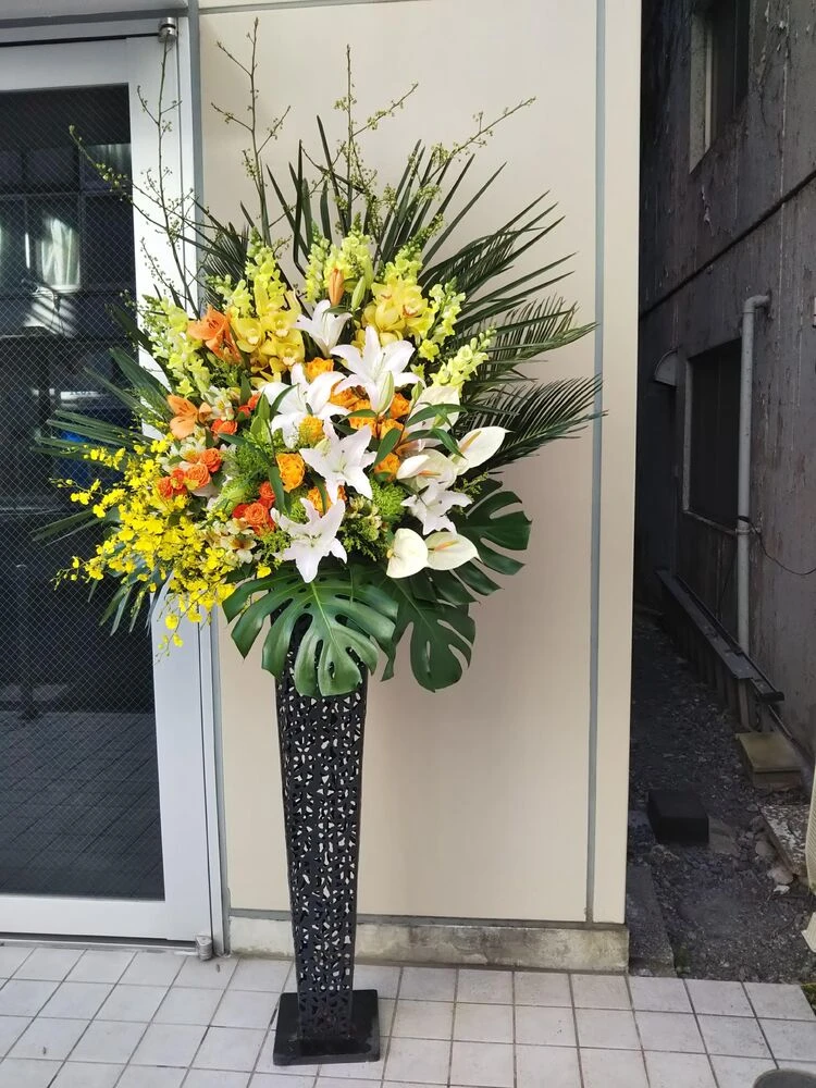 画像12905