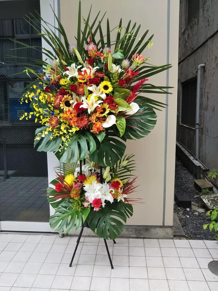 画像12913