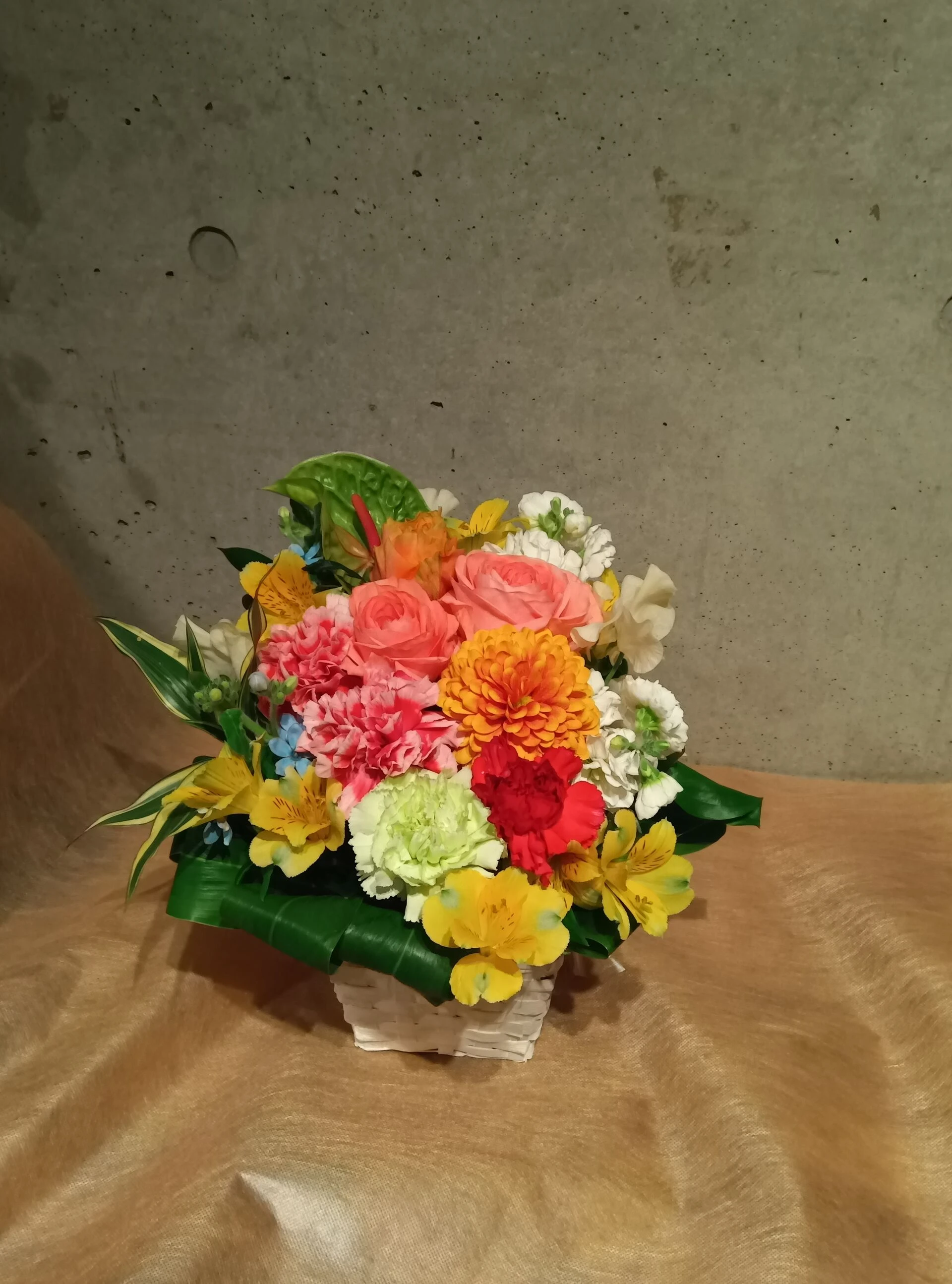 240115173006337.JP
