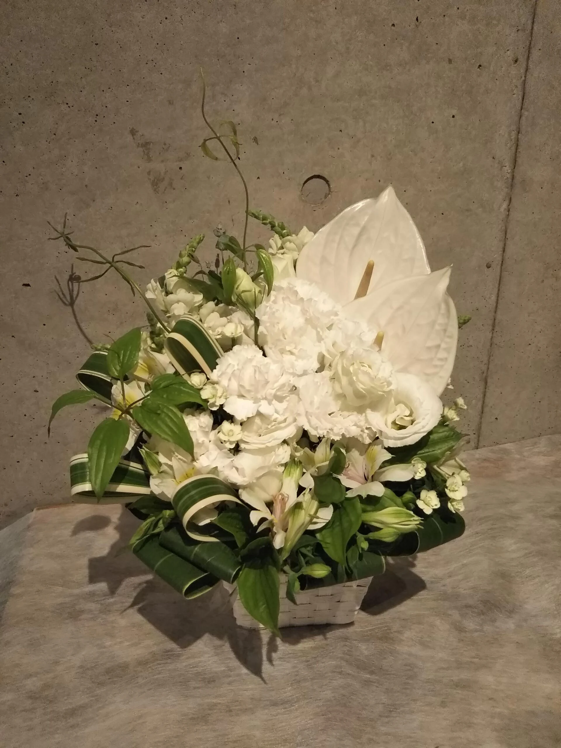 DSC_0770.JP