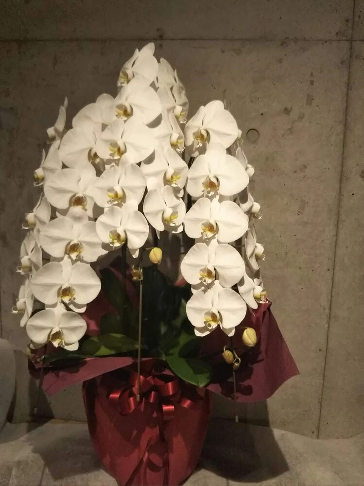 画像15136