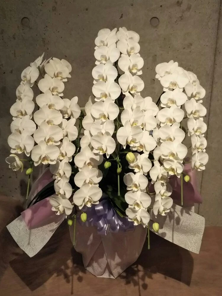 画像15139