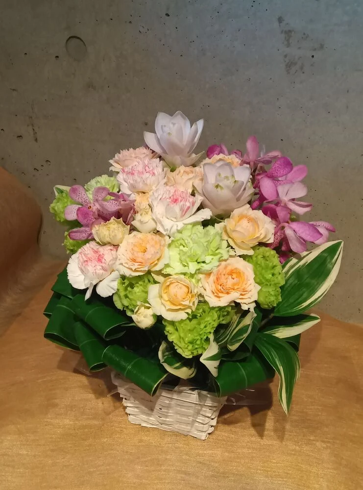 画像15228
