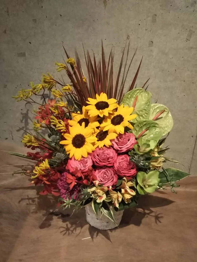画像15503