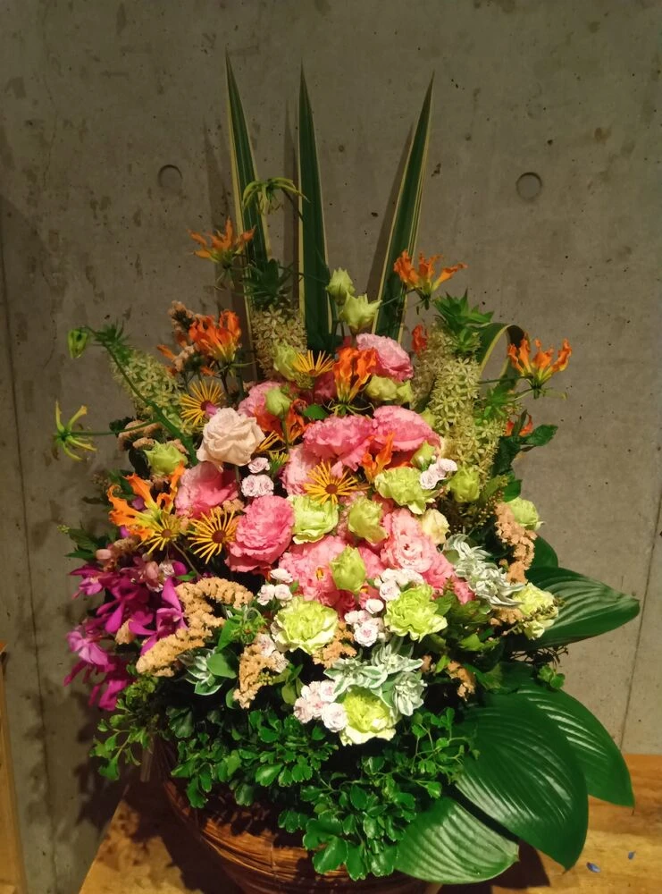 画像15505