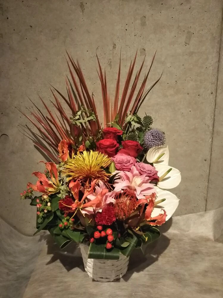 画像15506
