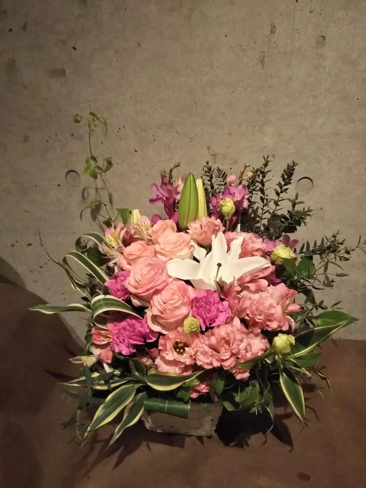 画像15535