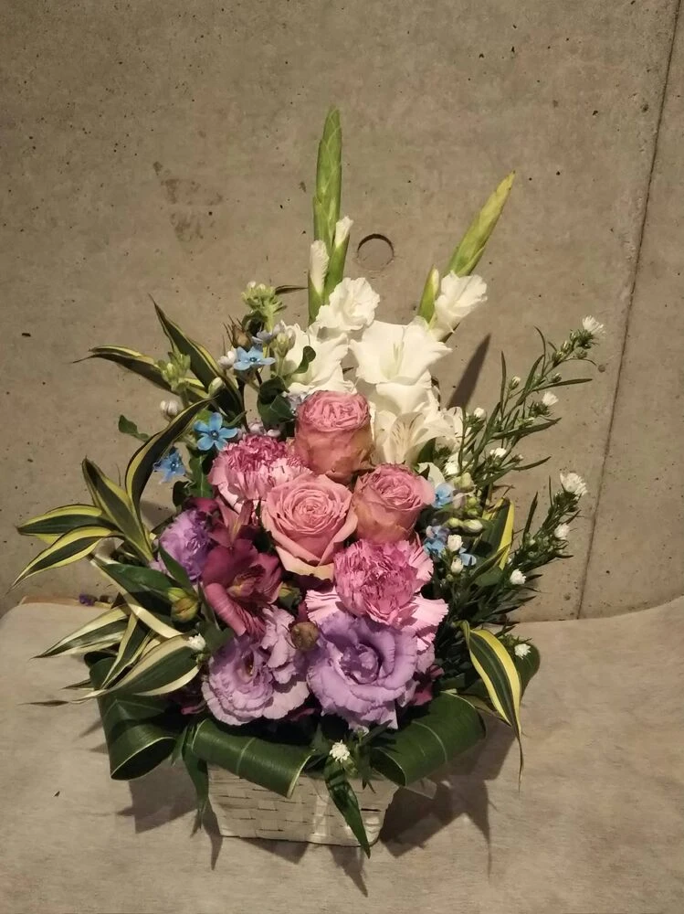 画像15538