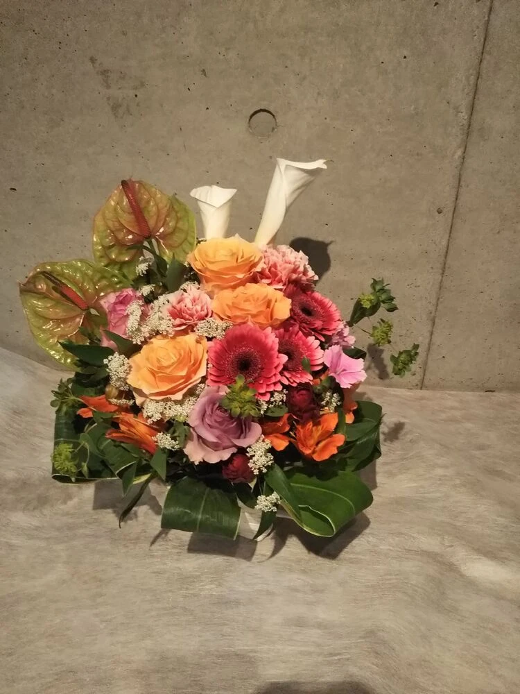 画像15579