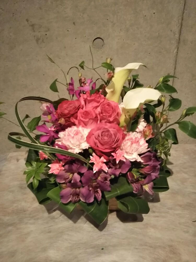 画像15582